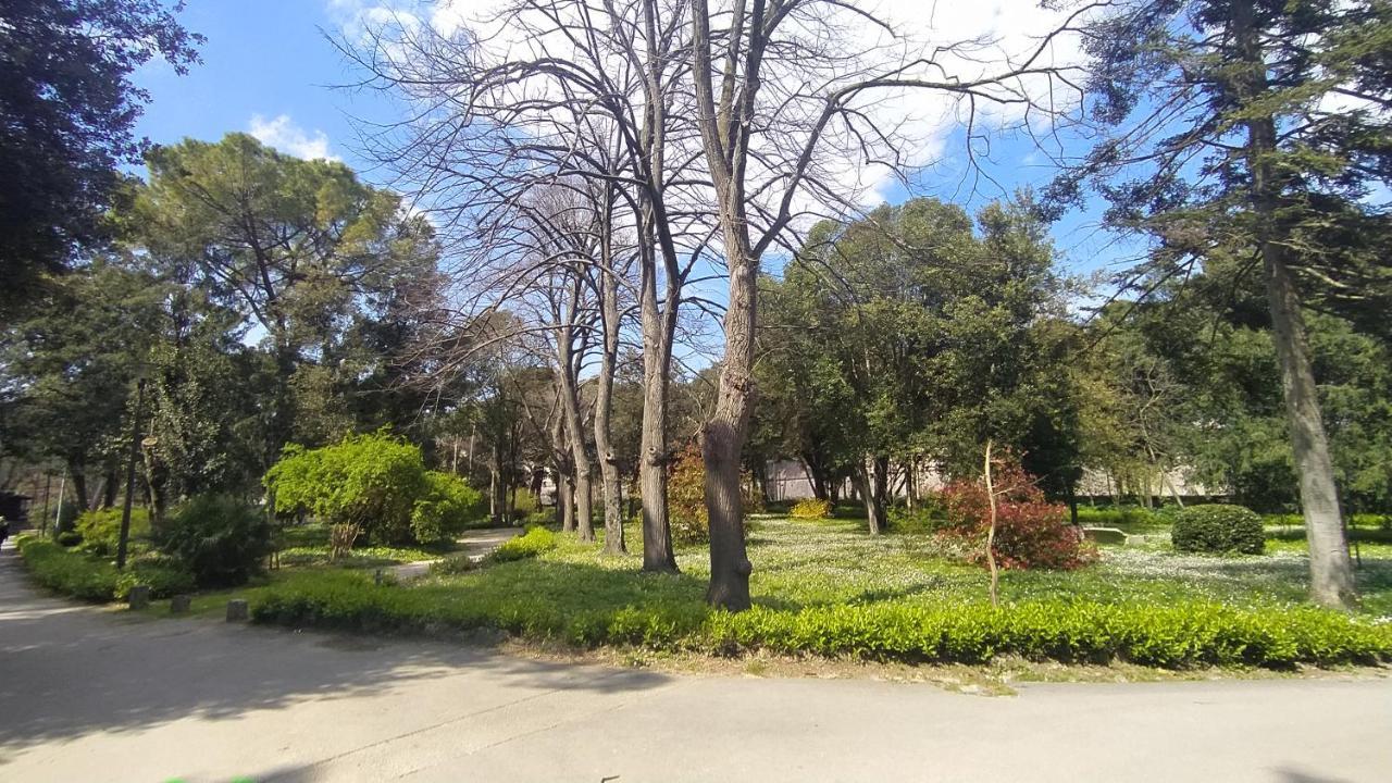 Apartment Antique Zadar - City Center 外观 照片